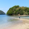 真宮島