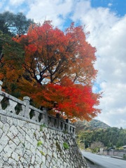 冬到来