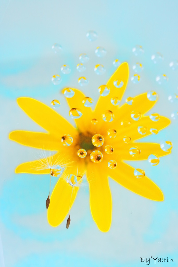 花心