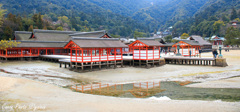 厳島神社