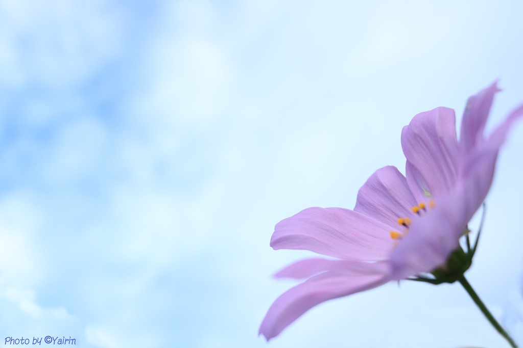 空へ