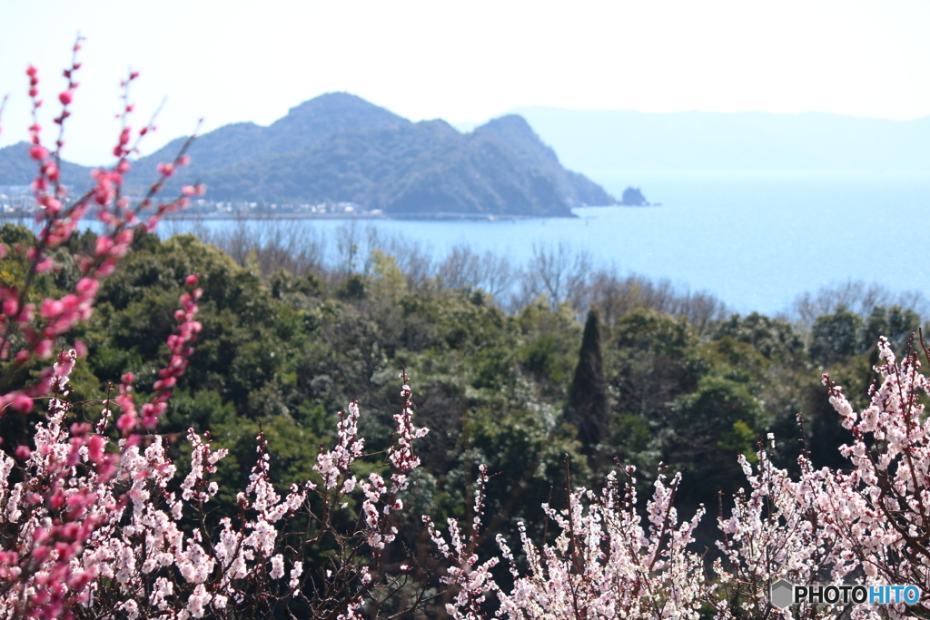 山頂から