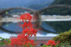 秋の気配