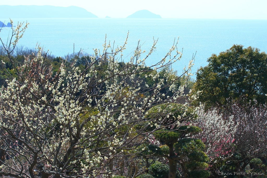 山頂から瀬戸内海