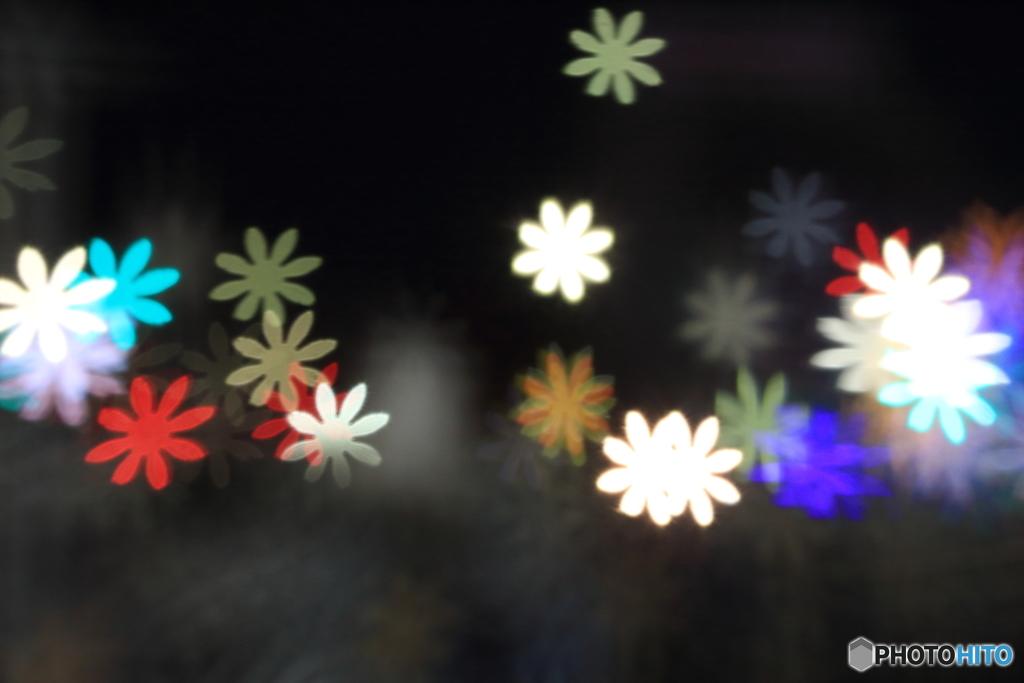 夜咲き花