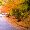 紅葉谷公園