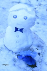 寒くてうれしい雪だるま