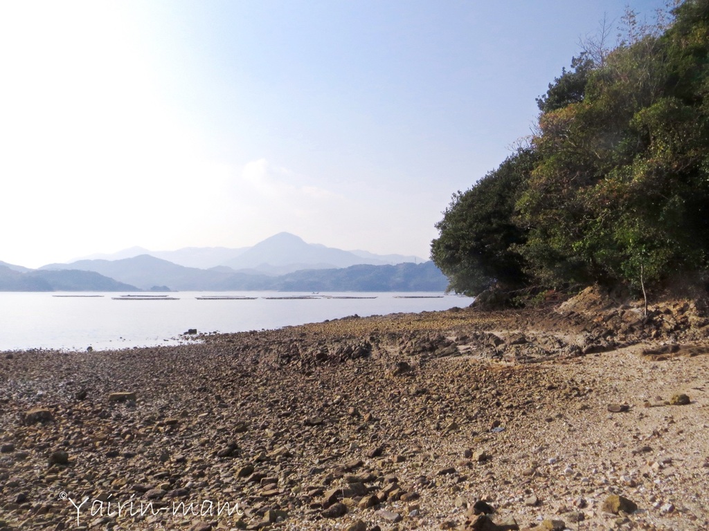 真宮島
