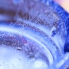 灰皿に蜘蛛の巣