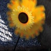 風を感じて