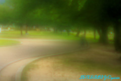 散歩道