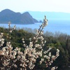 瀬戸内海を見下ろす
