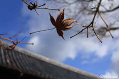 別れは突然に。。。