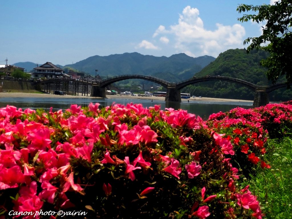 錦帯橋