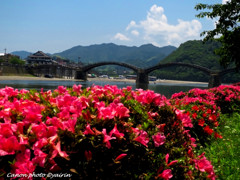 錦帯橋