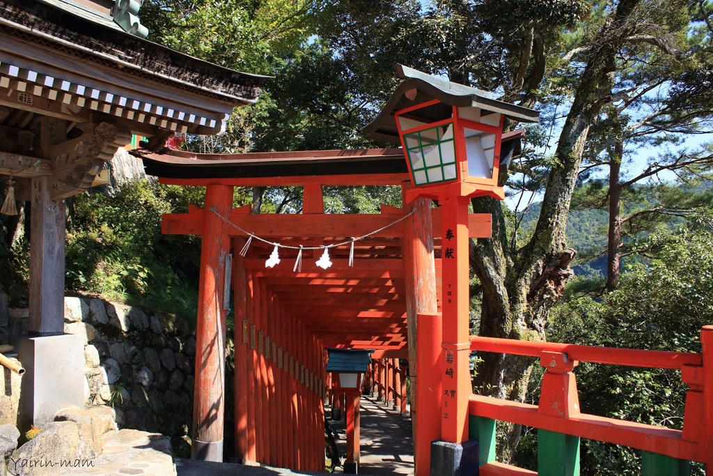 約1,000本鳥居