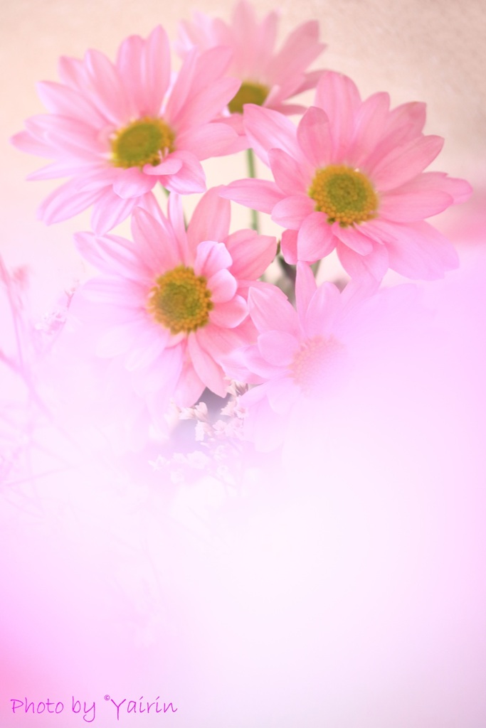 想いを届けたい