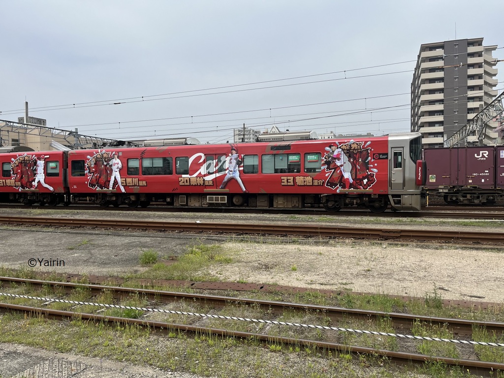 カープ