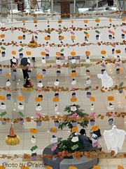 ハロウィン
