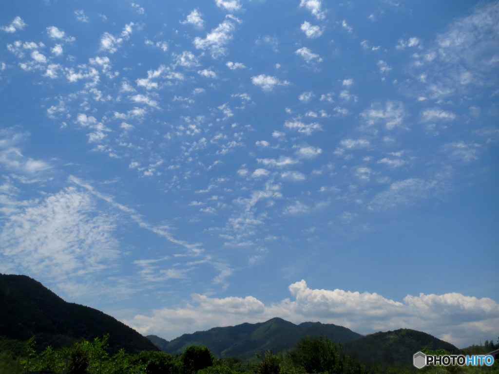 空高く