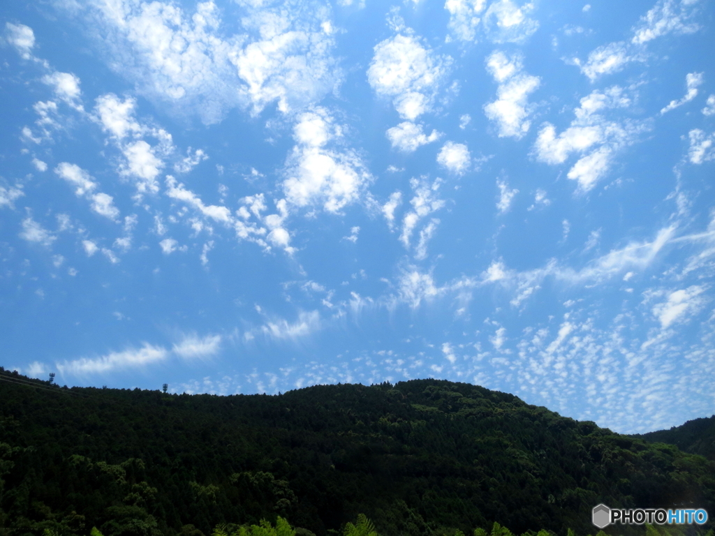 空高く