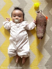 大きくなりました!