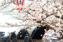 お花見