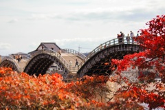 おいでませ錦帯橋