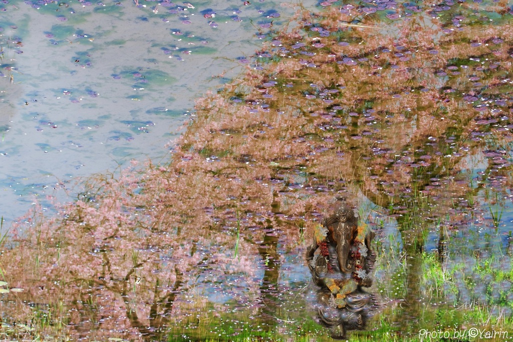 こんにちは