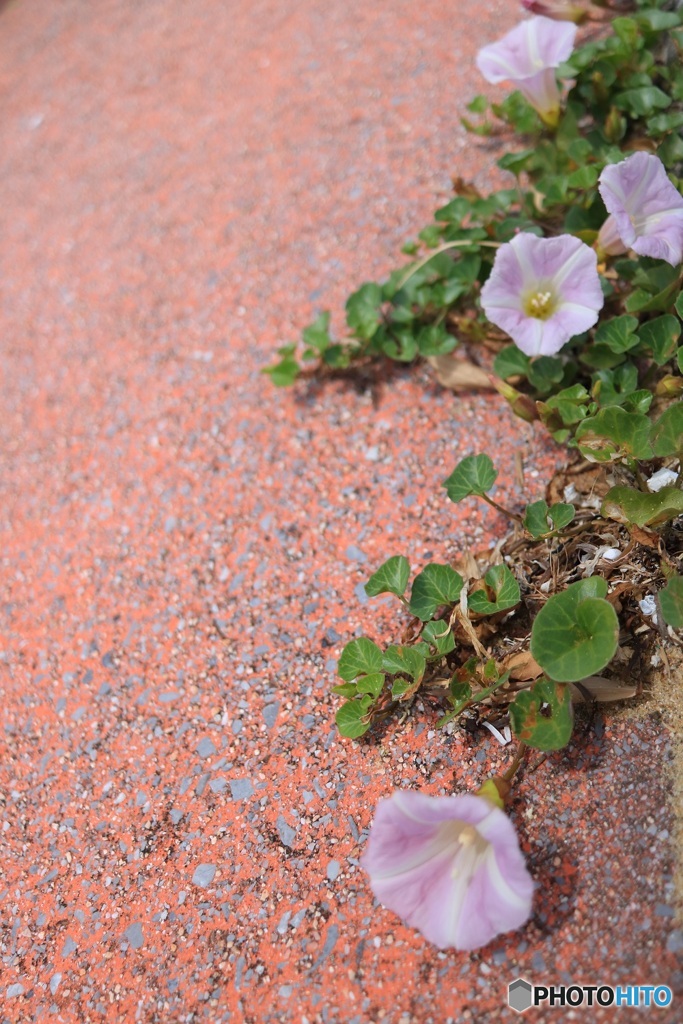 潮風に負けない!