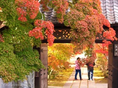 二人で紅葉狩り