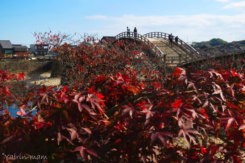 秋の錦帯橋