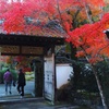 晩秋