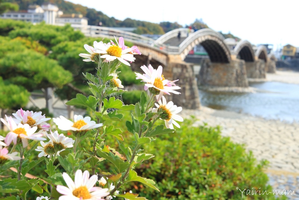 錦帯橋