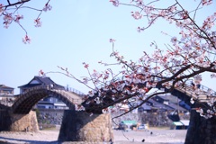 錦帯橋