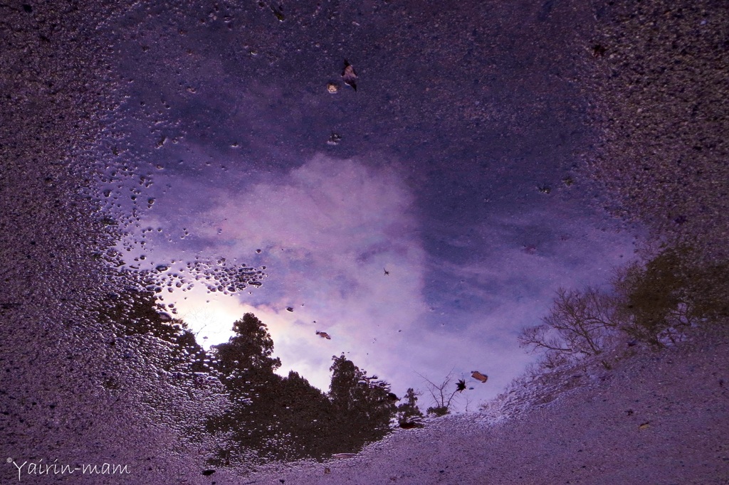 雨上がり