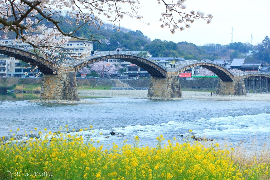 錦帯橋なう