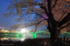錦帯橋の誘惑