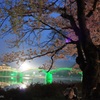 錦帯橋の誘惑