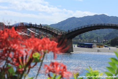 錦帯橋