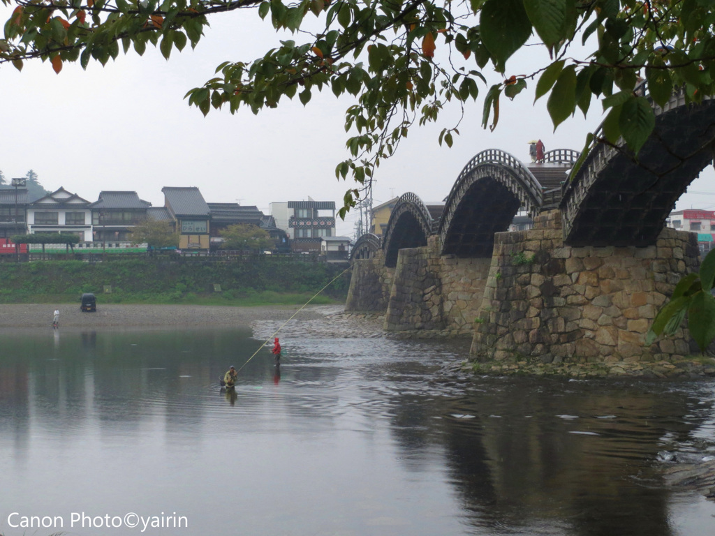 雨の錦帯橋