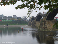 雨の錦帯橋