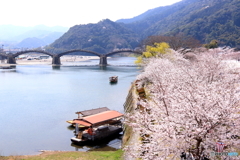お花見