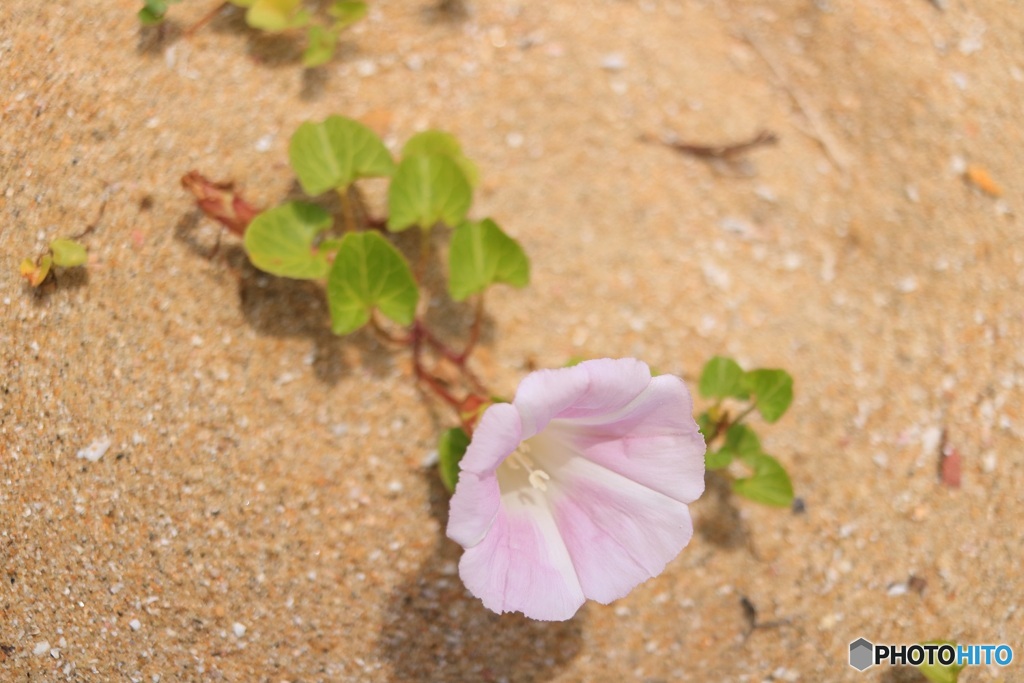 潮風に負けない!