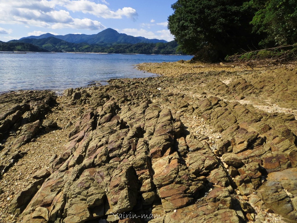 洗濯板