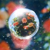 夏マジか(夏間近）
