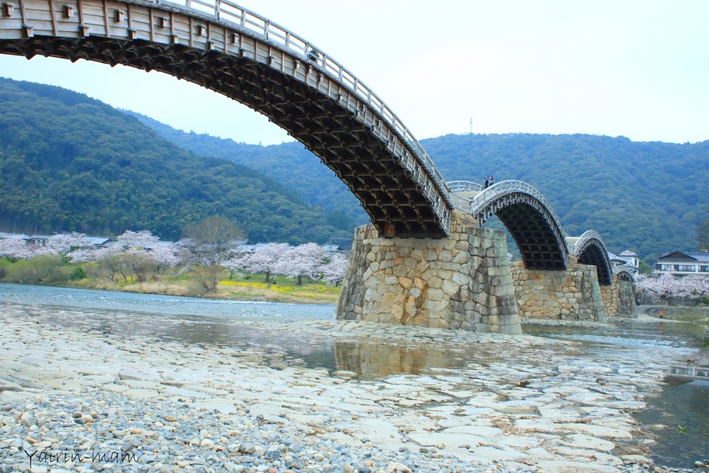 錦帯橋なう