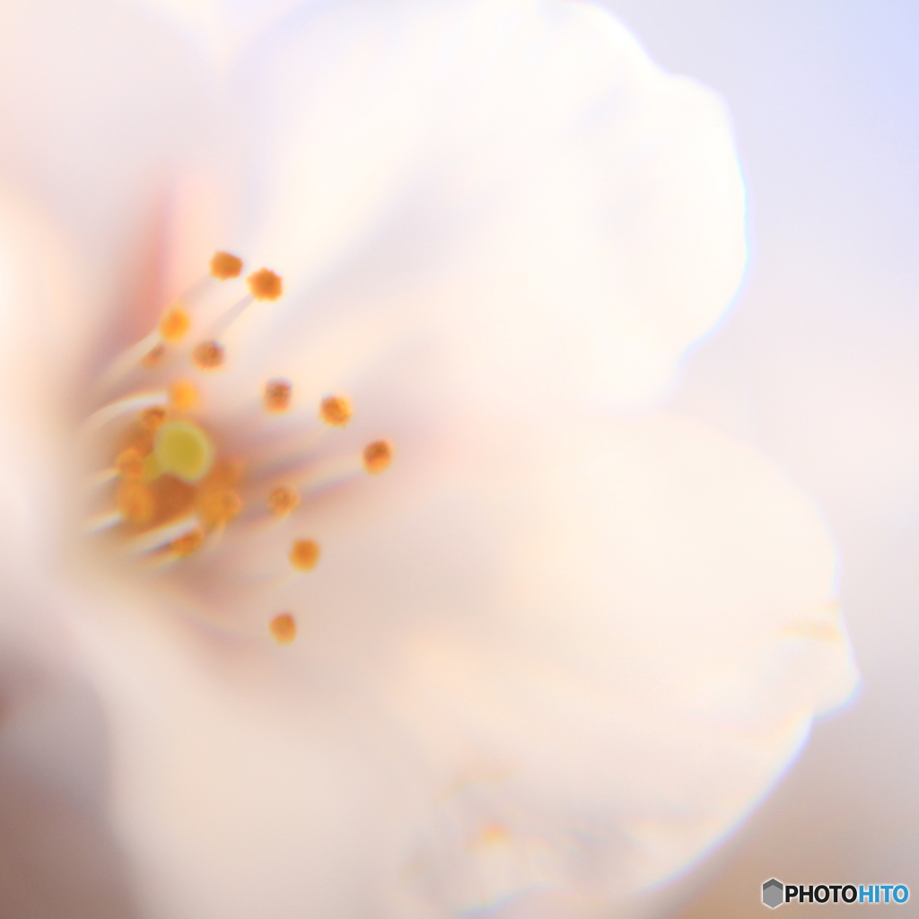 君のために