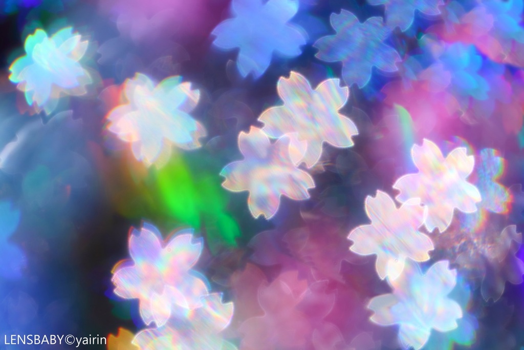 虹桜