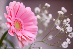 花をあなたに
